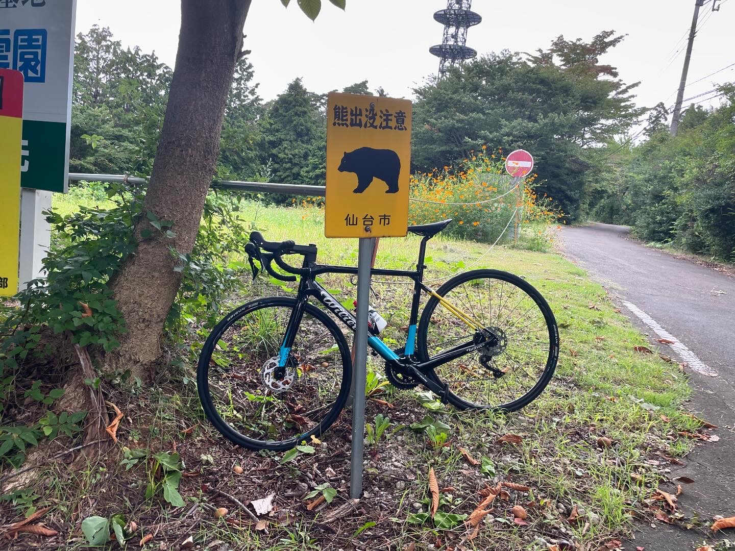 青葉山の熊出没注意にて